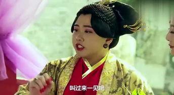 草老母国产视频,探寻民间风情与传统文化