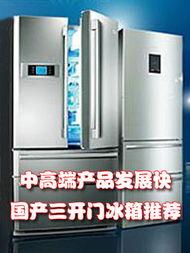 国产电冰箱视频,创新科技与时尚设计的完美融合