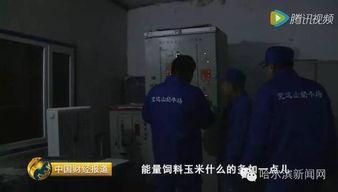 国产牛奶被曝光事件视频,揭露行业隐秘真相