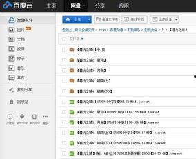 国产之光视频百度网盘,揭秘百度网盘背后的创新与突破