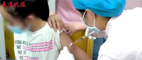 国产生育视频,揭秘育儿知识，助力新手爸妈成长之路