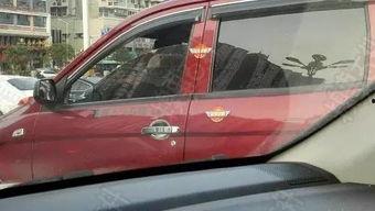 国产神车视频大全,视频大全中的传奇车型盘点