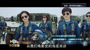 国产片视频站,探索本土影视作品的魅力与风采